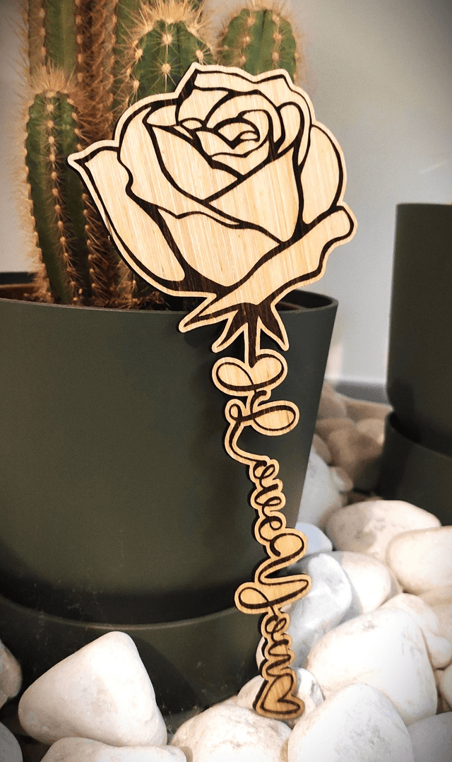 Rose de St Valentin