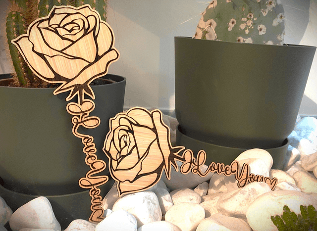 Rose de St Valentin